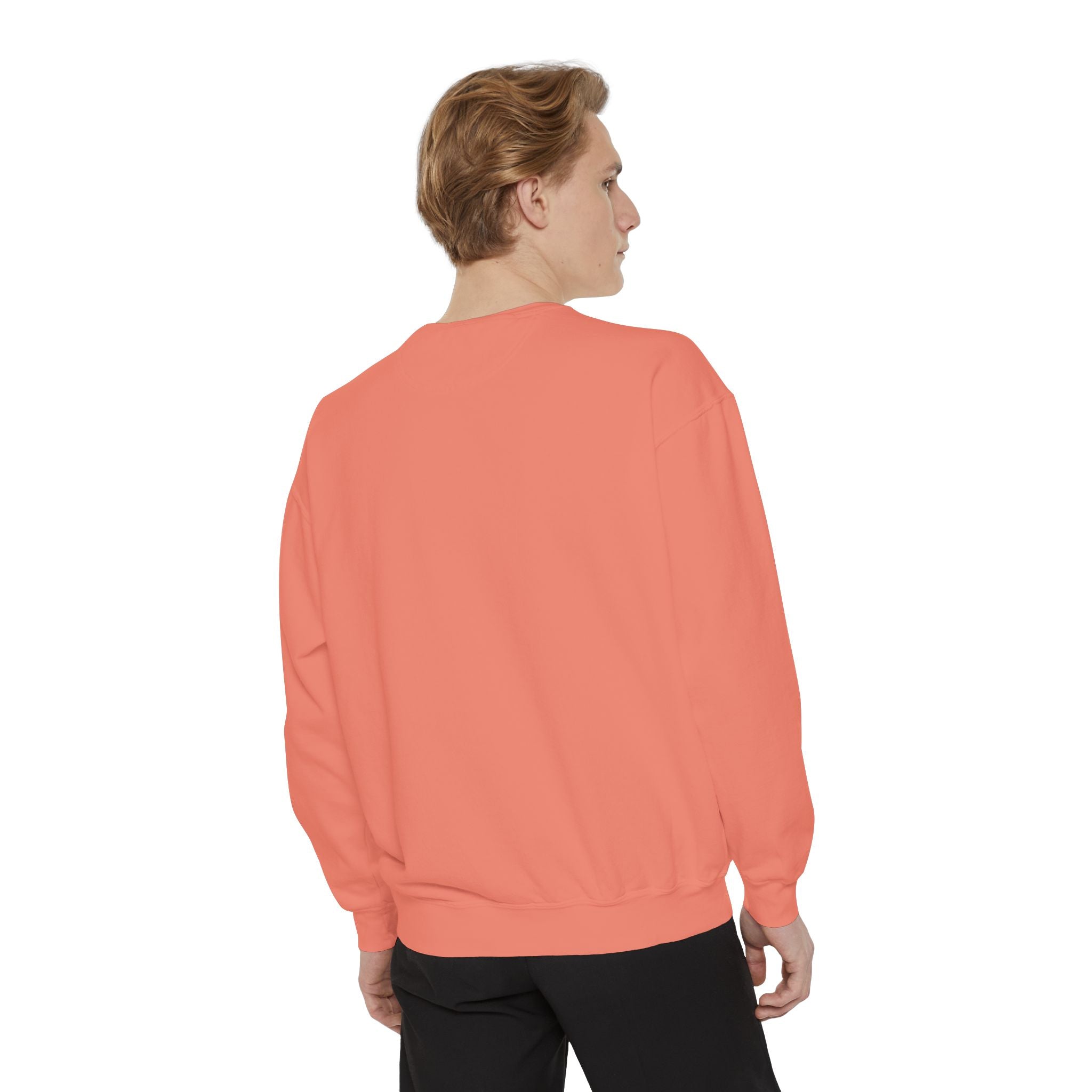 Garment-Dyed SkaterDude Sweatshirt