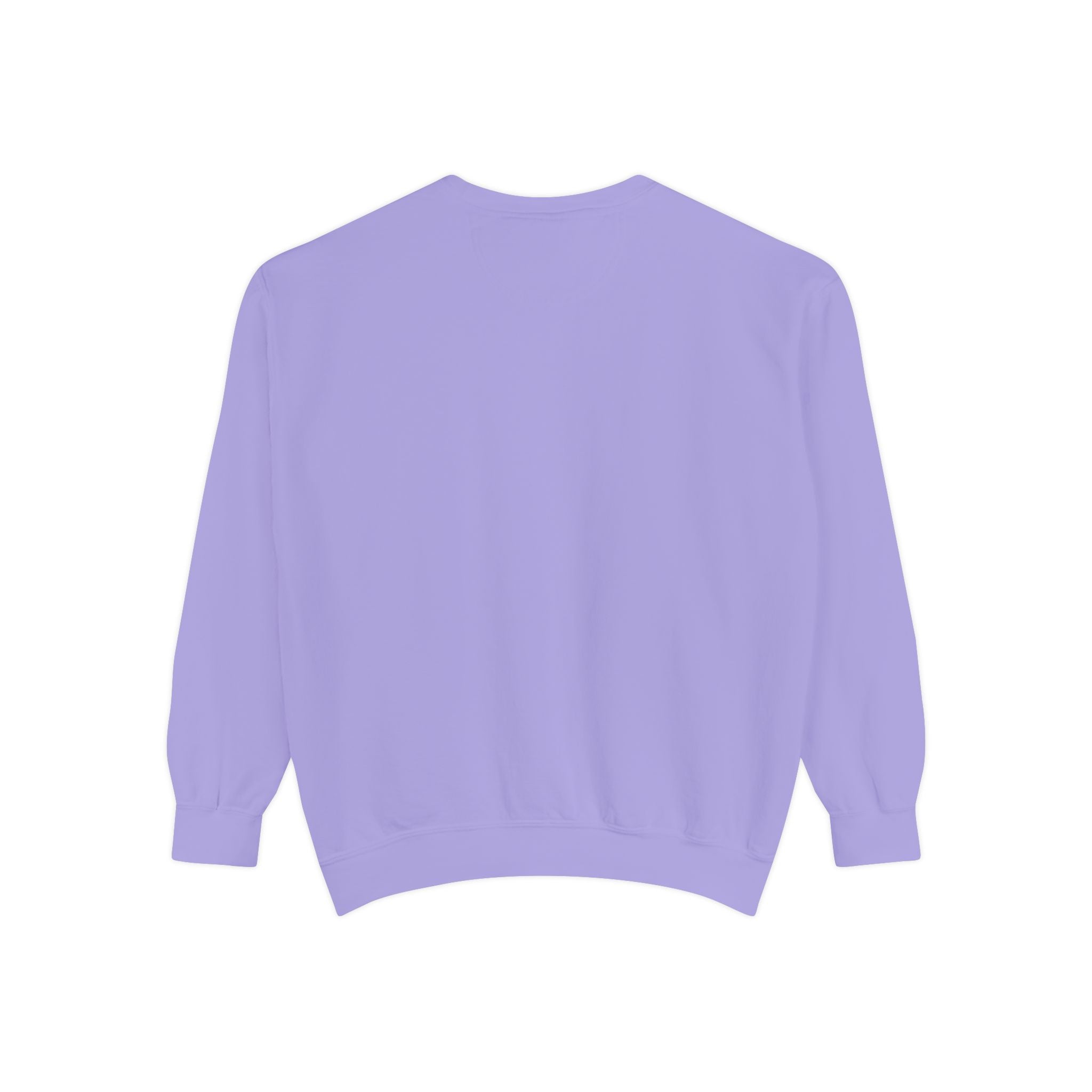 Garment-Dyed SkaterDude Sweatshirt