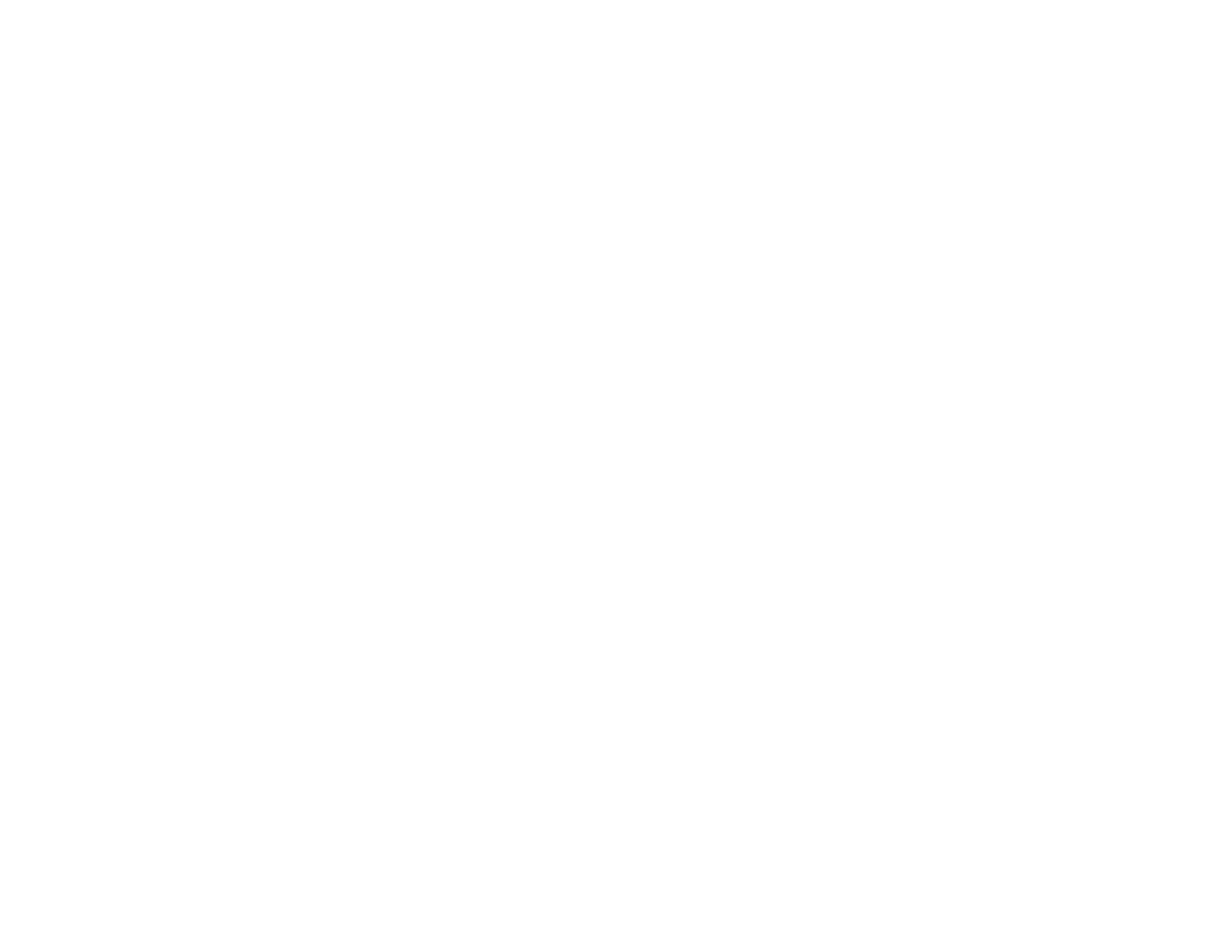 Skater Dude